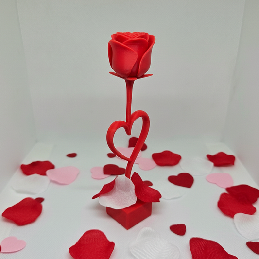 Rosa Eterna San Valentín | Elegancia en Rojo Vibrante