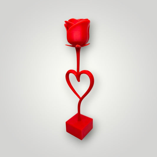 Rosa Eterna San Valentín | Elegancia en Rojo Vibrante